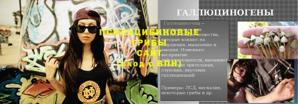 mdma Заводоуковск