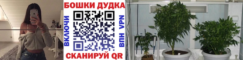 Бошки Шишки план Саров